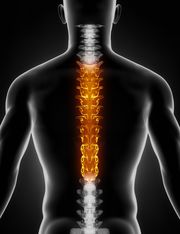 Chiropraktiker Chiropraktiker